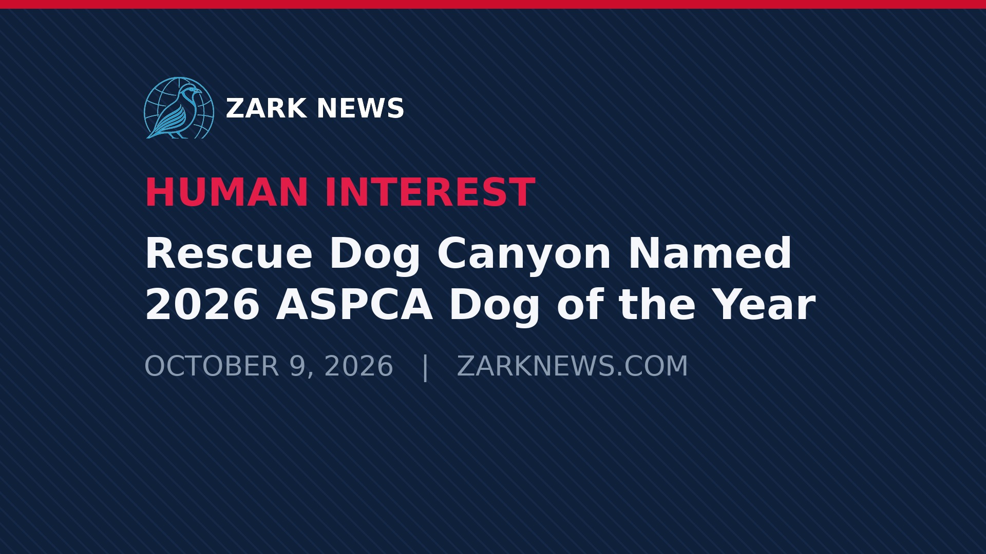 Zark News illustration: Rescue Dog Canyon Named 2026 ASPCA Dog of the Year