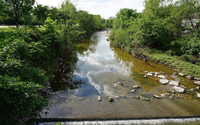 Four Mile Run flowing between tree-lined banks in Arlington, Virginia, seen from the South Nelson Street bridge